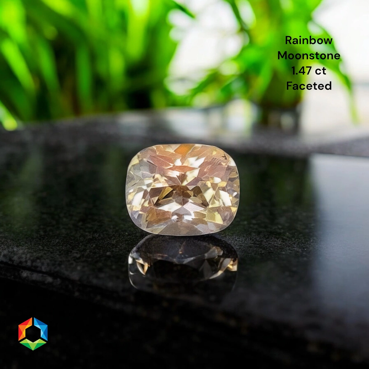 1.47 ct Multicolour Rainbow Moonstone Cushion – GFCO Certified