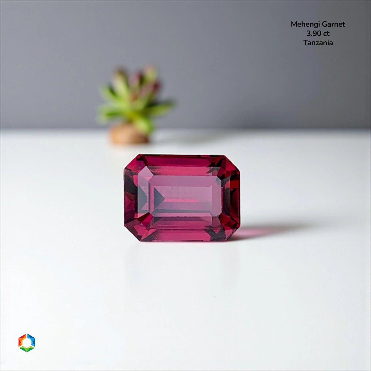 3.9 ct Red Mahenge Garnet Octagon