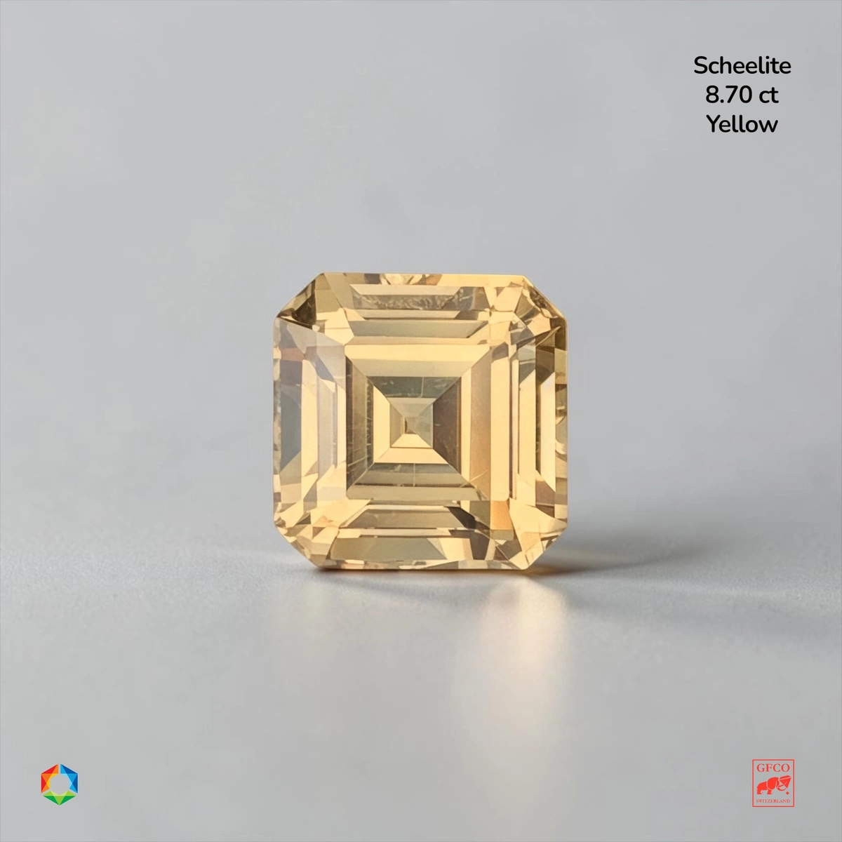 8.7 ct Yellow Scheelite Octagon – GFCO Certified
